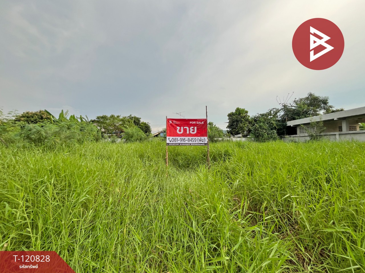 ขายที่ดิน เนื้อที่ 2 งาน 31.8 ตร.วา เทพารักษ์ สมุทรปราการ 2