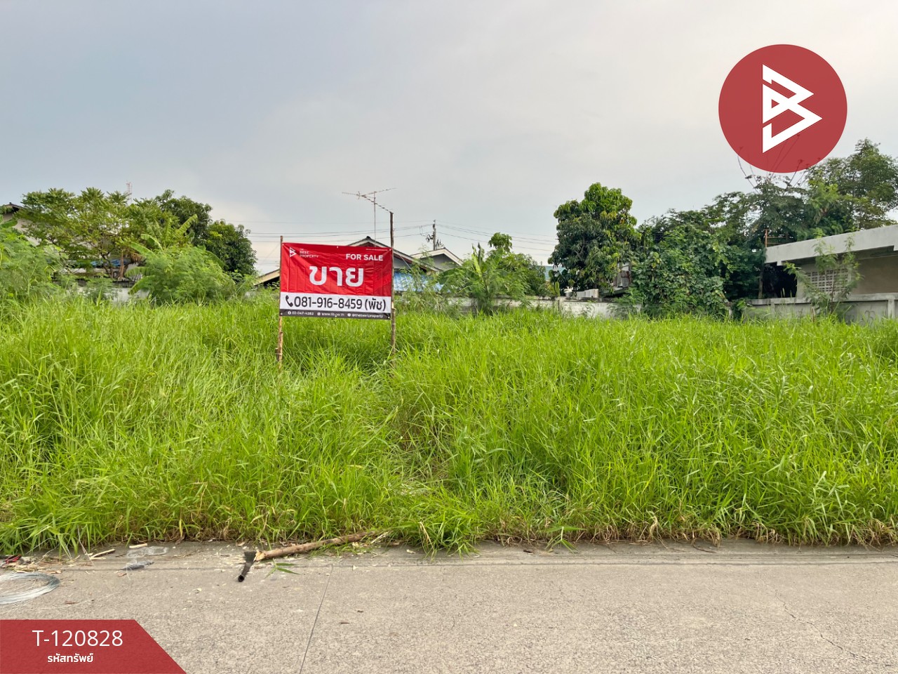 ขายที่ดิน เนื้อที่ 2 งาน 31.8 ตร.วา เทพารักษ์ สมุทรปราการ 9