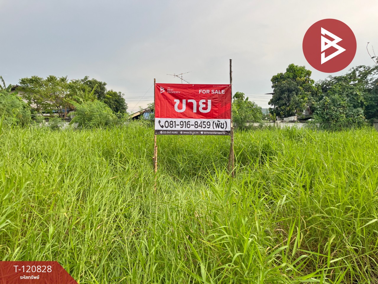 ขายที่ดิน เนื้อที่ 2 งาน 31.8 ตร.วา เทพารักษ์ สมุทรปราการ 1