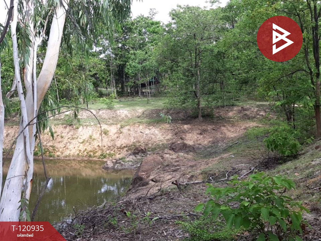 ขายที่ดิน เนื้อที่ 51 ไร่ 1 งาน 33 ตารางวา ไม้งาม ตาก 2