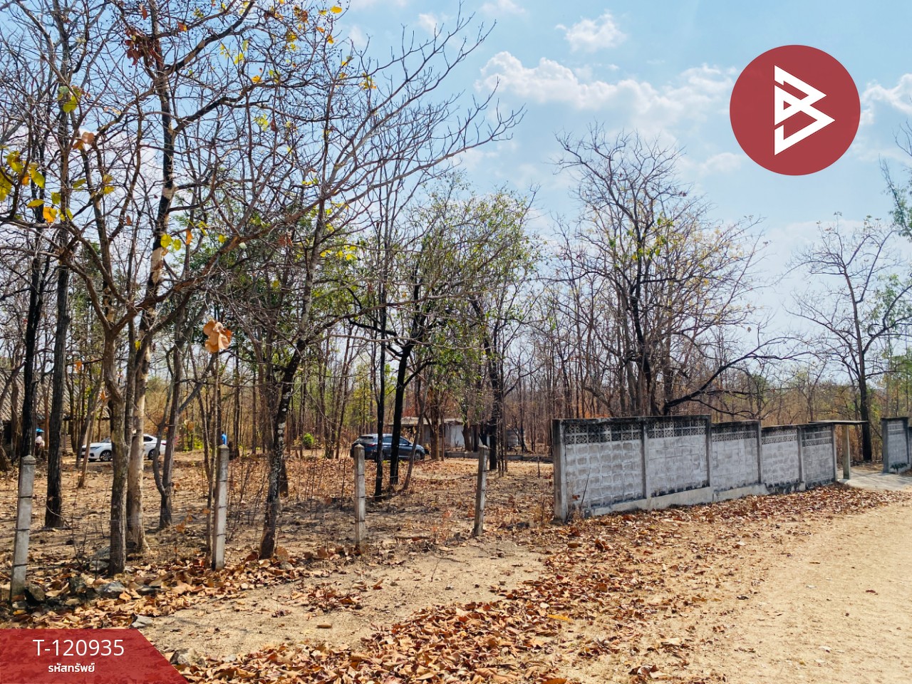 ขายที่ดิน เนื้อที่ 51 ไร่ 1 งาน 33 ตารางวา ไม้งาม ตาก 6