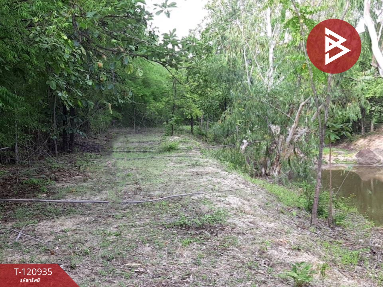 ขายที่ดิน เนื้อที่ 51 ไร่ 1 งาน 33 ตารางวา ไม้งาม ตาก 3