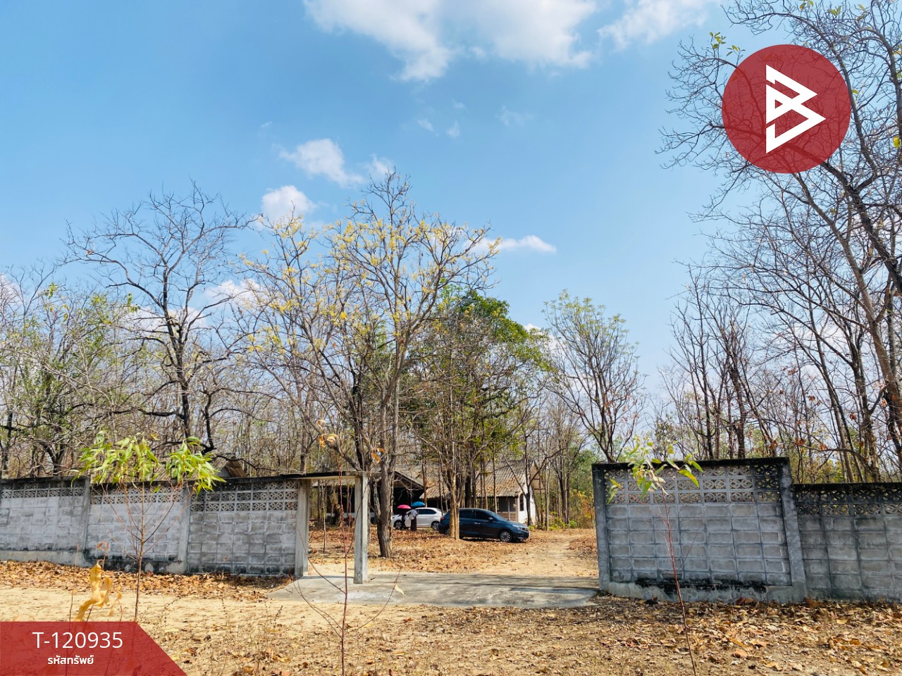 ขายที่ดิน เนื้อที่ 51 ไร่ 1 งาน 33 ตารางวา ไม้งาม ตาก 5