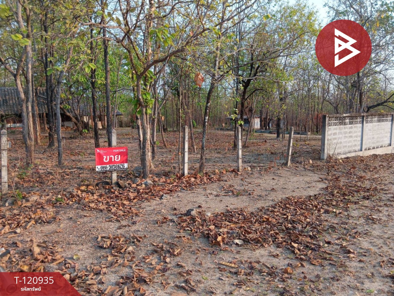 ขายที่ดิน เนื้อที่ 51 ไร่ 1 งาน 33 ตารางวา ไม้งาม ตาก 1
