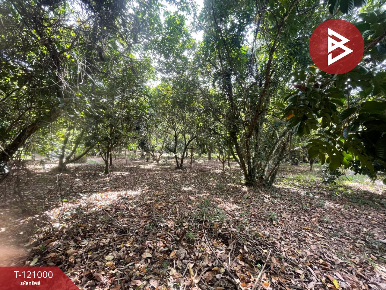 Property image 10