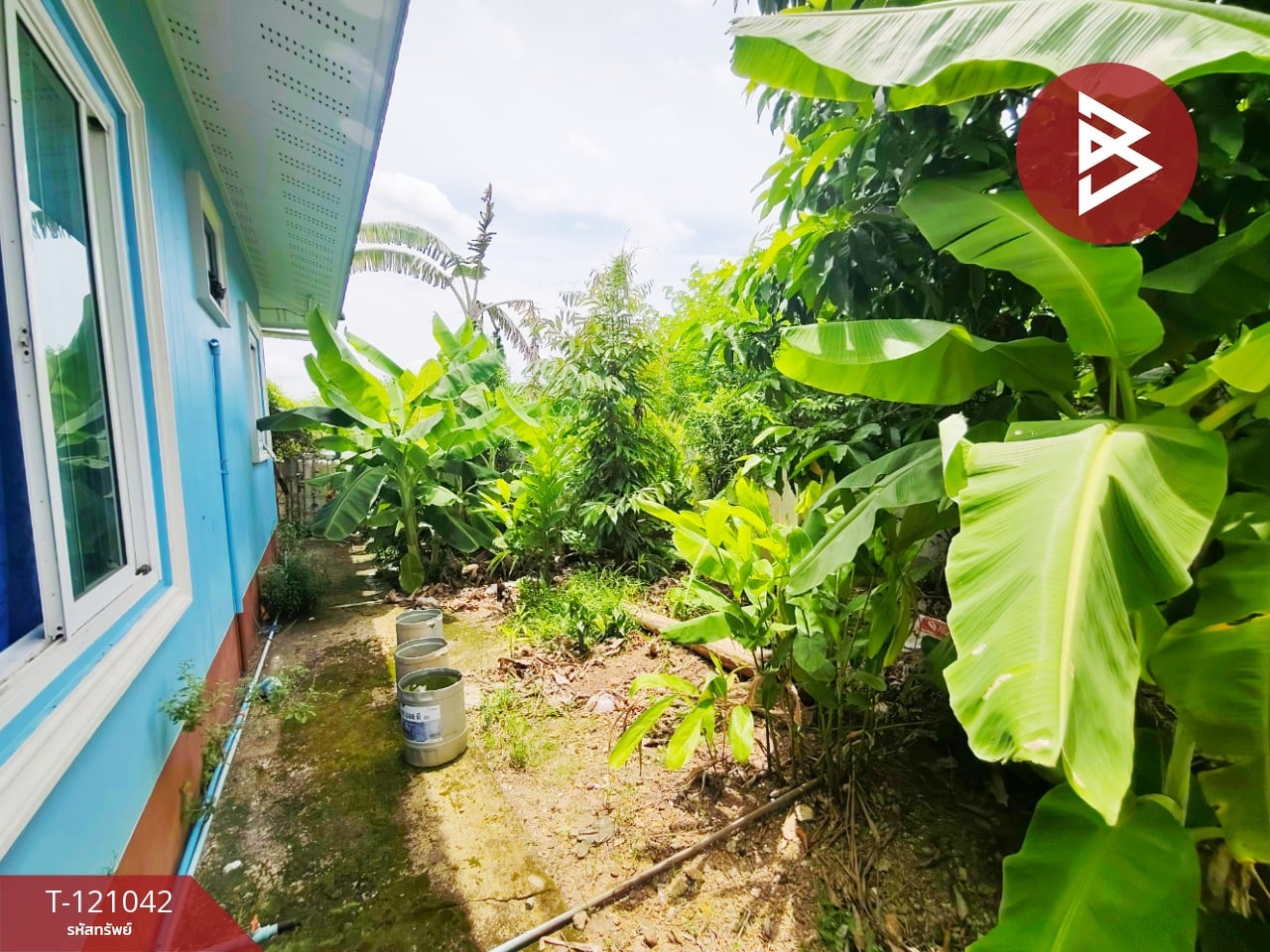 ขายบ้านเดี่ยวชั้นเดียว เนื้อที่ 98 ตารางวา ต.หัวสำโรง อ.แปลงยาว จ.ฉะเชิงเทรา 11