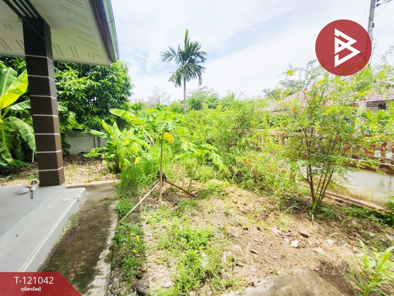 ขายบ้านเดี่ยวชั้นเดียว เนื้อที่ 98 ตารางวา ต.หัวสำโรง อ.แปลงยาว จ.ฉะเชิงเทรา 12