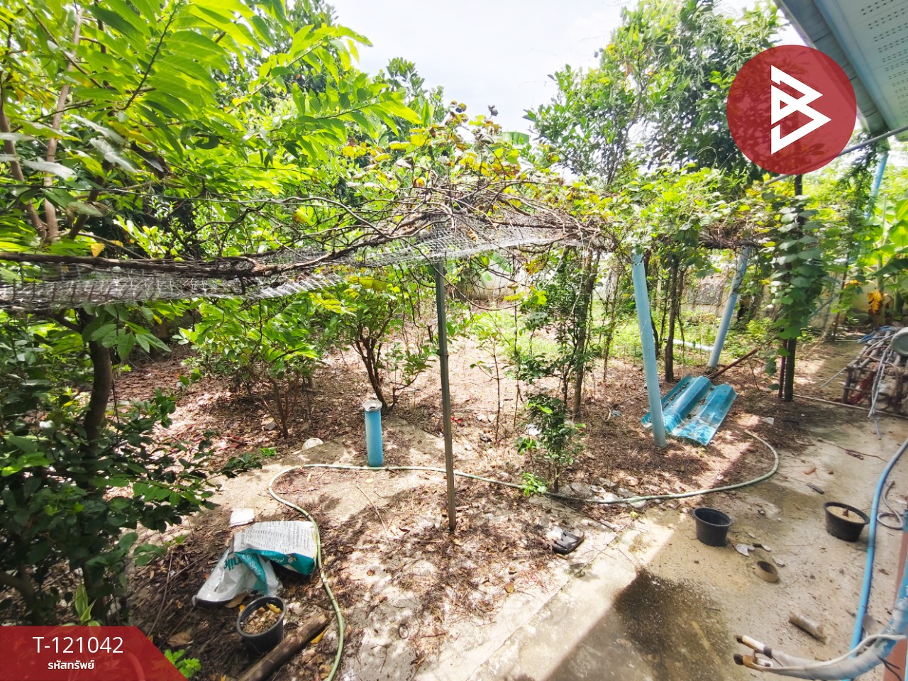 ขายบ้านเดี่ยวชั้นเดียว เนื้อที่ 98 ตารางวา ต.หัวสำโรง อ.แปลงยาว จ.ฉะเชิงเทรา 14