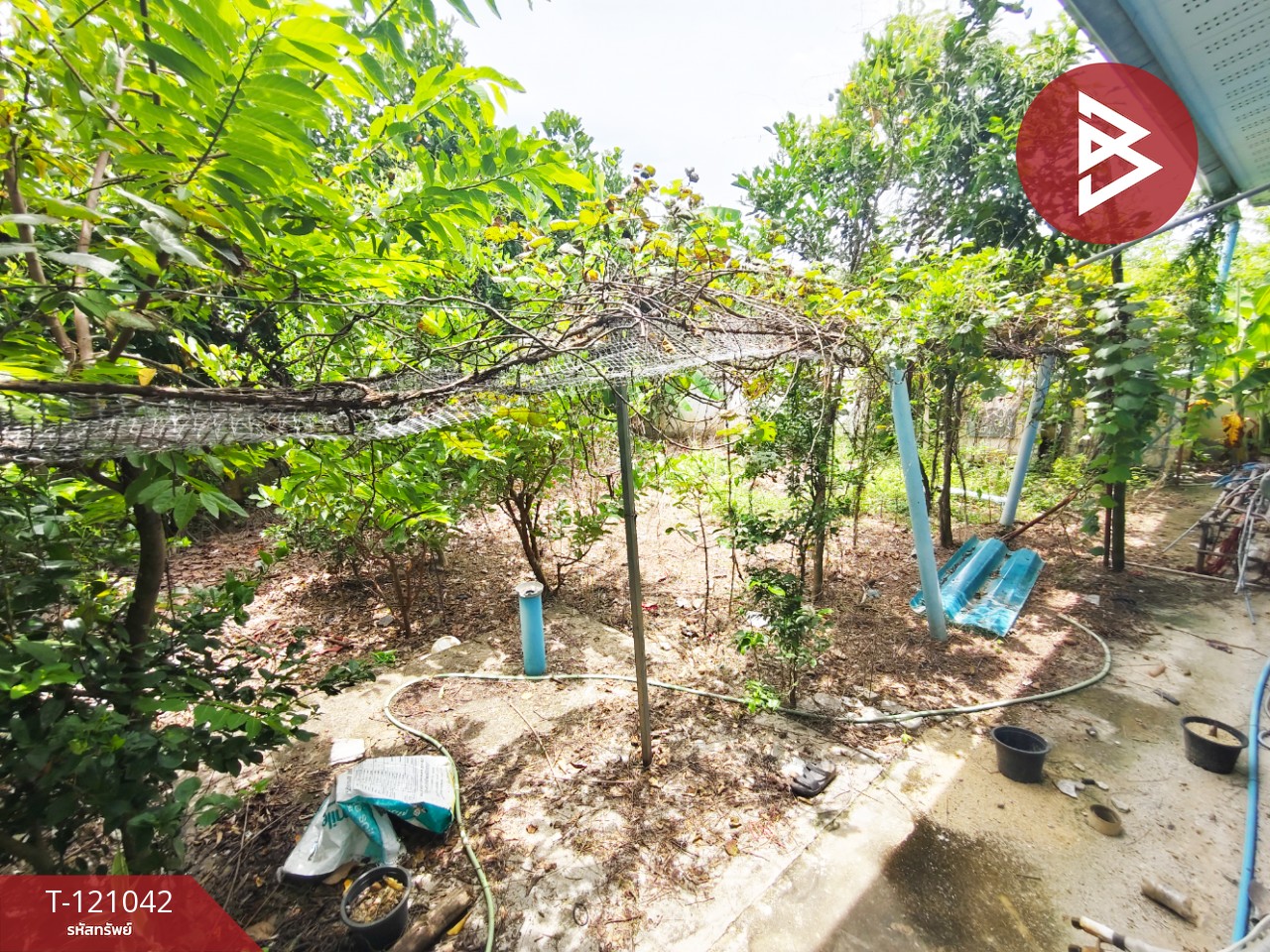 ขายบ้านเดี่ยวชั้นเดียว เนื้อที่ 98 ตารางวา ต.หัวสำโรง อ.แปลงยาว จ.ฉะเชิงเทรา 15