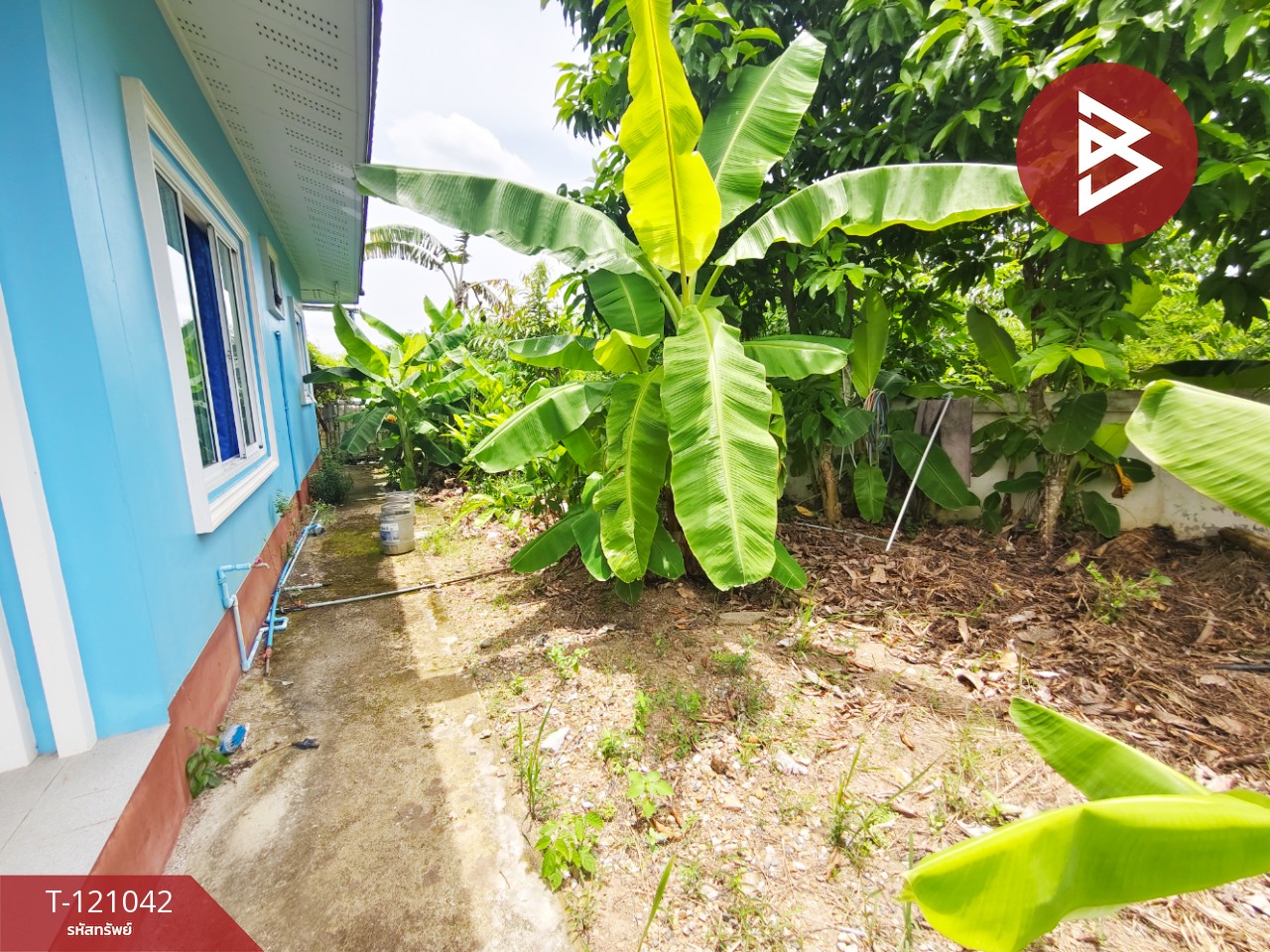 ขายบ้านเดี่ยวชั้นเดียว เนื้อที่ 98 ตารางวา ต.หัวสำโรง อ.แปลงยาว จ.ฉะเชิงเทรา 10