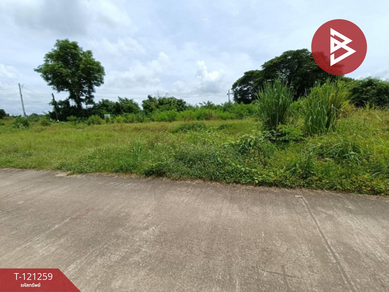 ขายที่ดิน เนื้อที่ 1 ไร่ 76 ตารางวา คุ้งตะเภา อุตรดิตถ์ 13