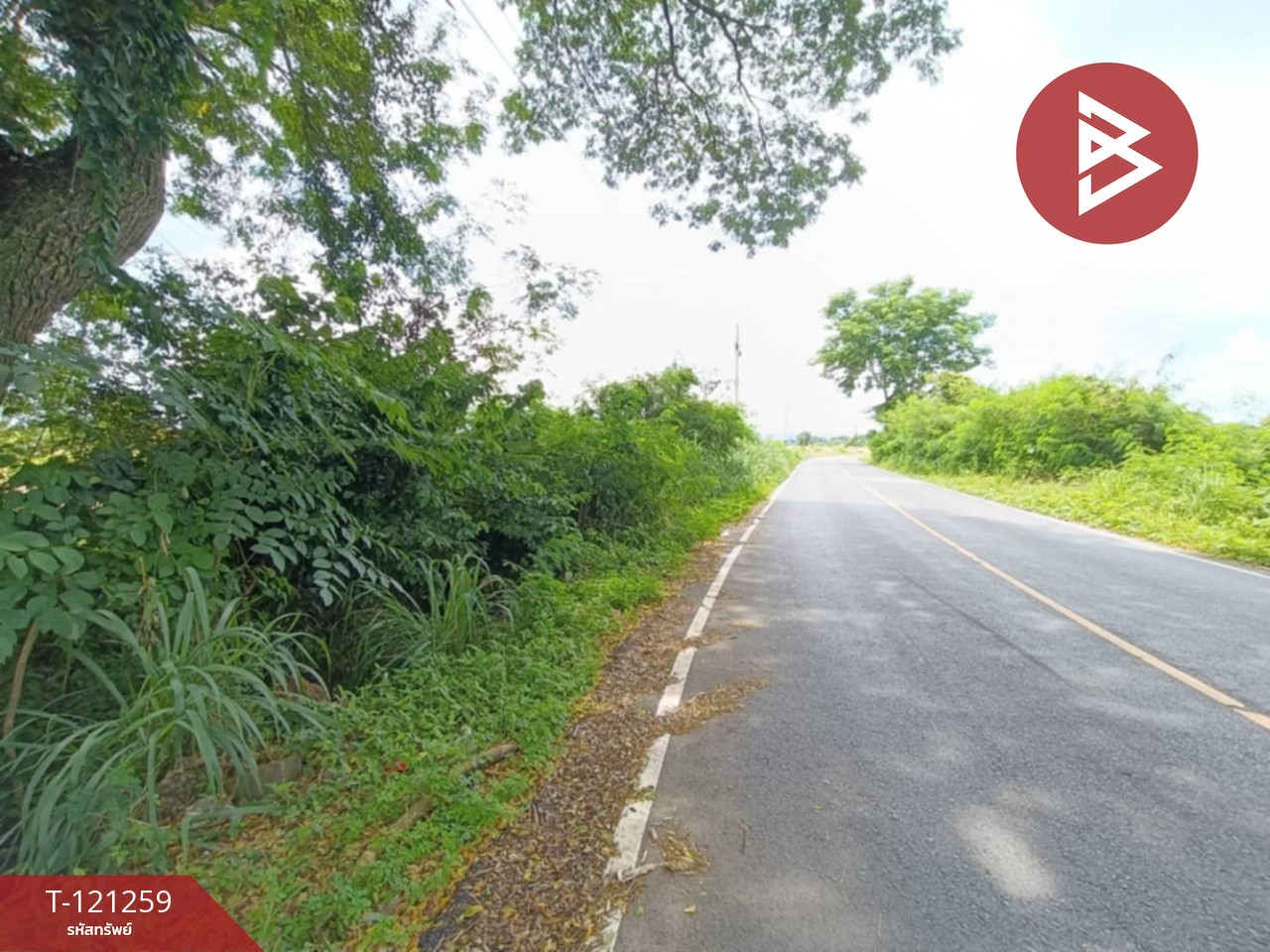 ขายที่ดิน เนื้อที่ 1 ไร่ 76 ตารางวา คุ้งตะเภา อุตรดิตถ์ 8