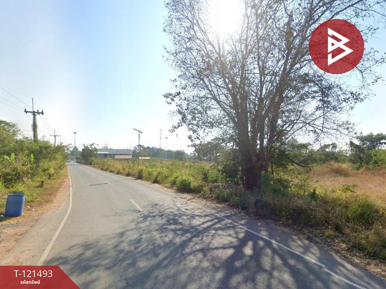 ขายที่ดิน เนื้อที่ 6 ไร่ 1 งาน 59.3 ตร.วา ไชยมงคล นครราชสีมา 5