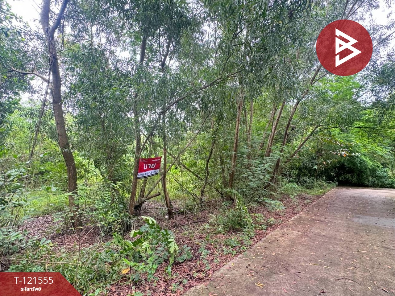 ขายที่ดิน เนื้อที่ 262.2 ตารางวา ต.เพ ระยอง ใกล้ทะเล 2