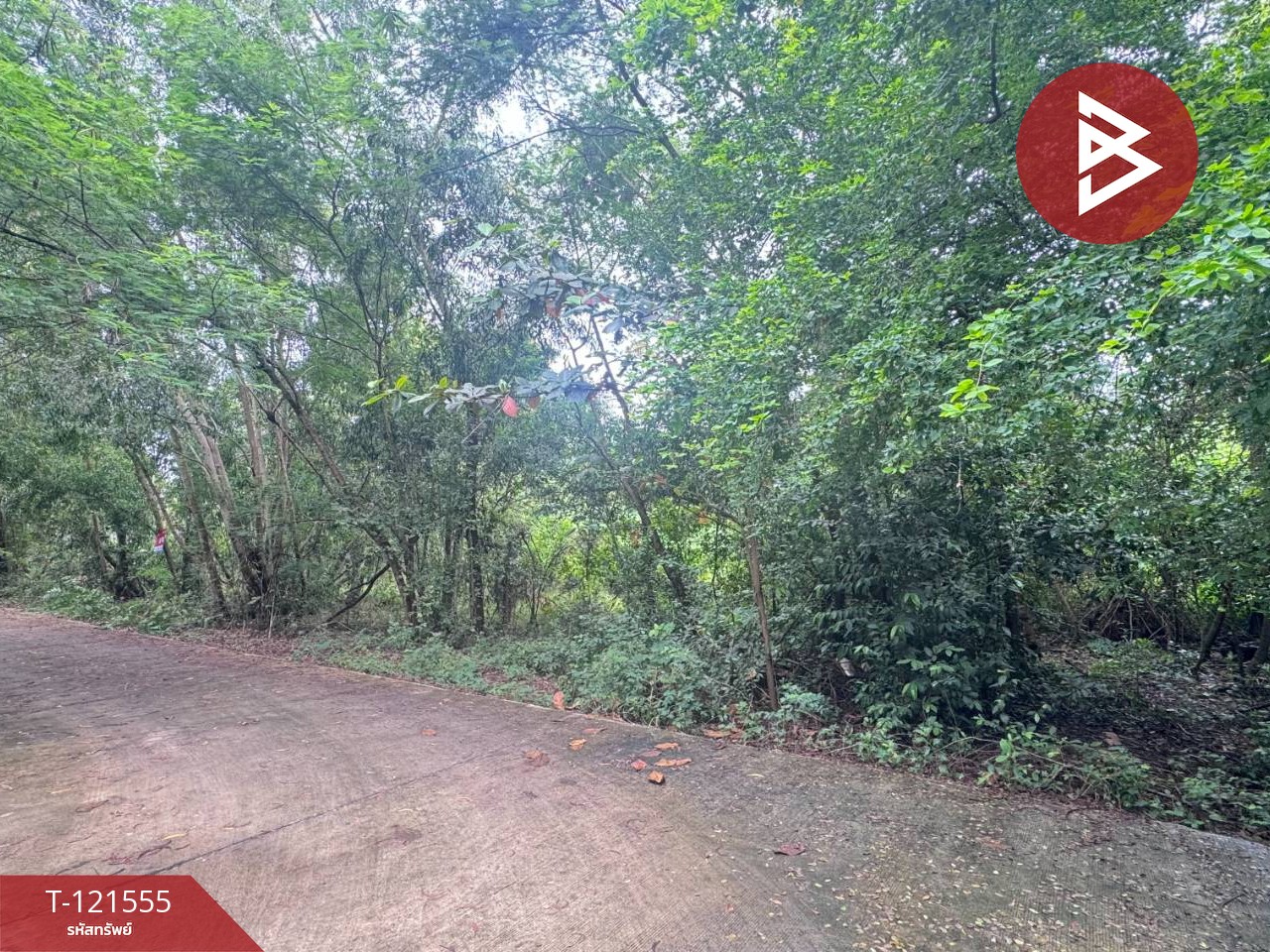 ขายที่ดิน เนื้อที่ 262.2 ตารางวา ต.เพ ระยอง ใกล้ทะเล 5