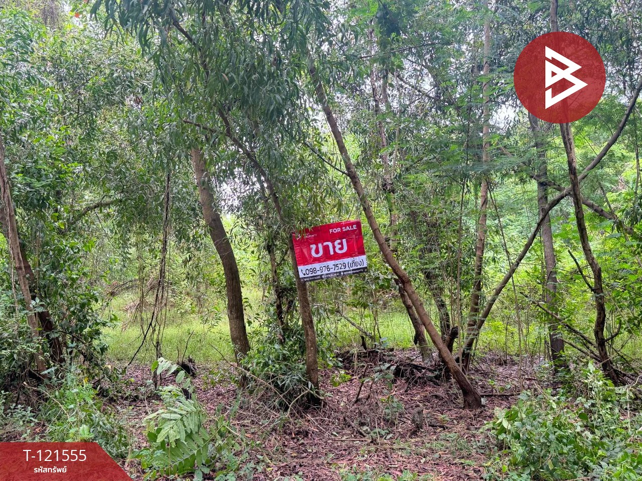 ขายที่ดิน เนื้อที่ 262.2 ตารางวา ต.เพ ระยอง ใกล้ทะเล 1