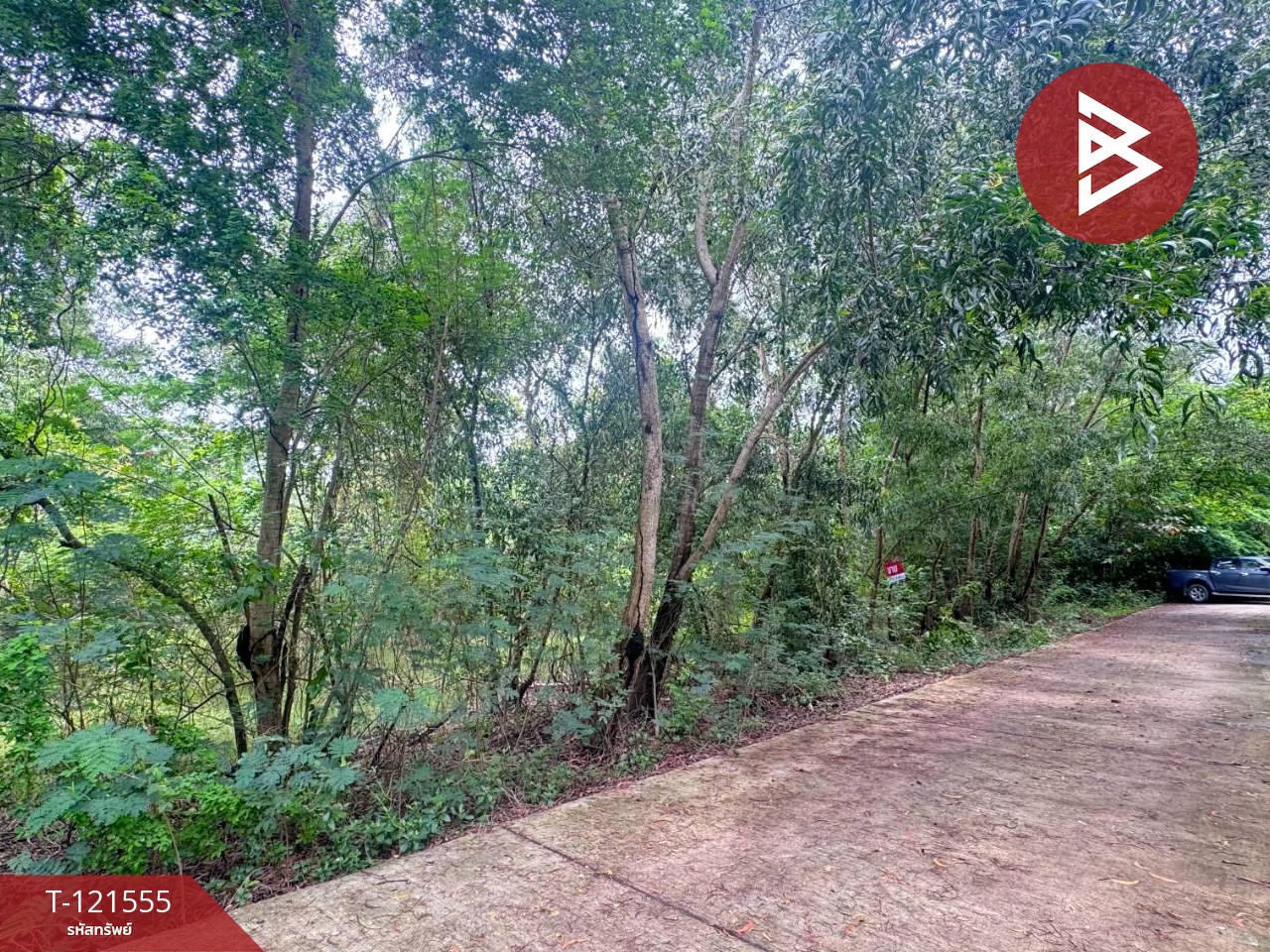 ขายที่ดิน เนื้อที่ 262.2 ตารางวา ต.เพ ระยอง ใกล้ทะเล 6