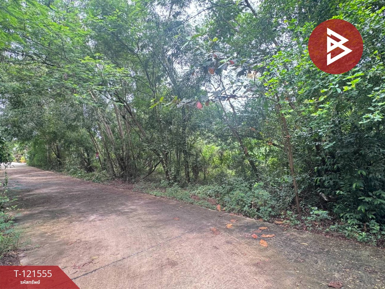 ขายที่ดิน เนื้อที่ 262.2 ตารางวา ต.เพ ระยอง ใกล้ทะเล 4