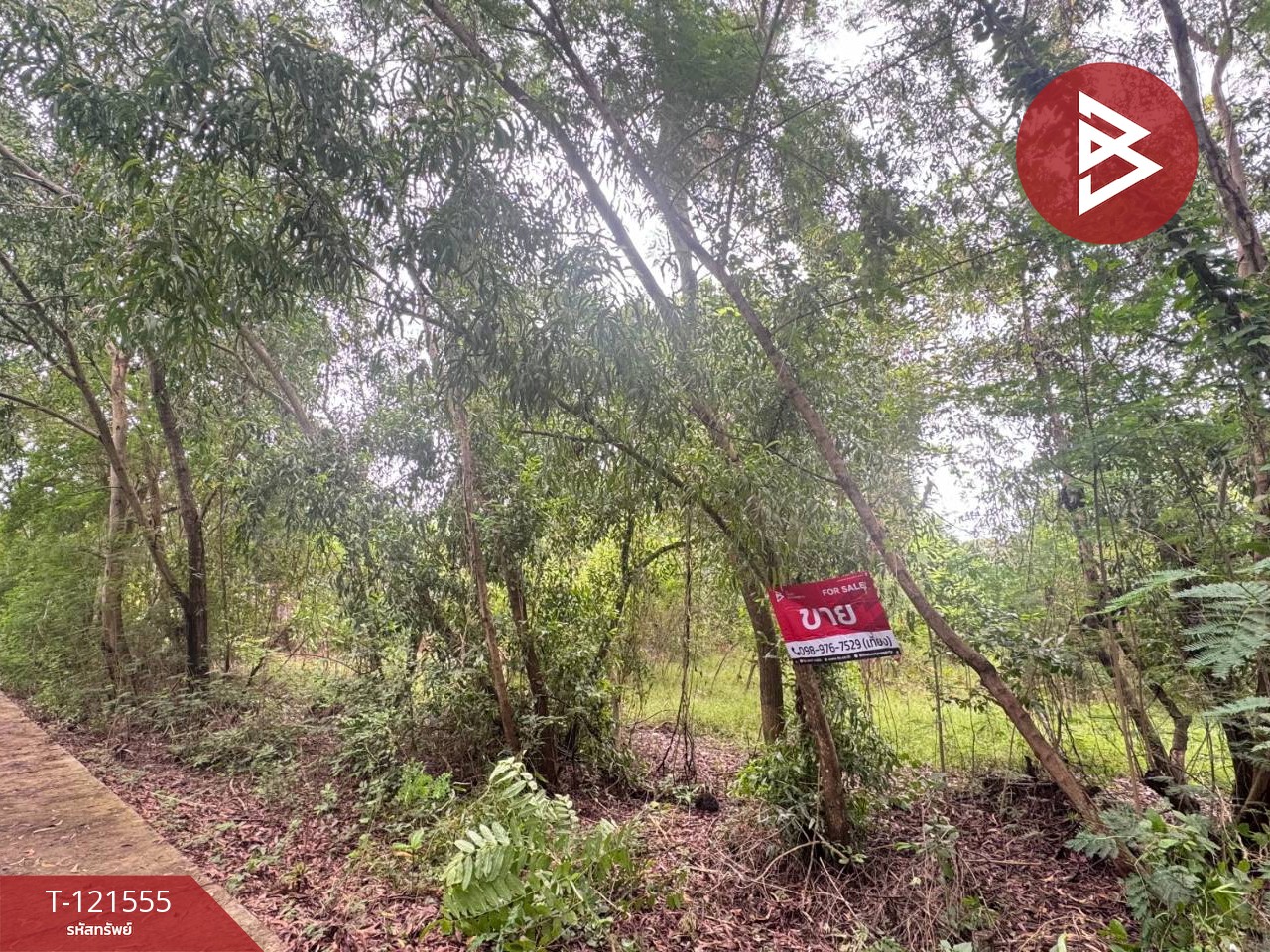 ขายที่ดิน เนื้อที่ 262.2 ตารางวา ต.เพ ระยอง ใกล้ทะเล 3