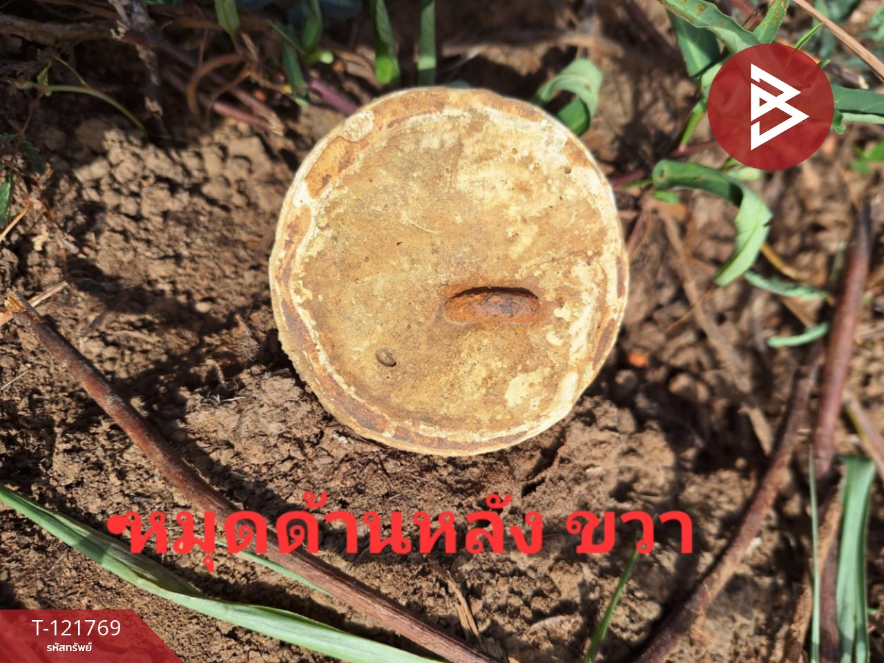 ขายที่ดินถมแล้ว เนื้อที่ 1 ไร่ 2 งาน วังด้ง กาญจนบุรี 10