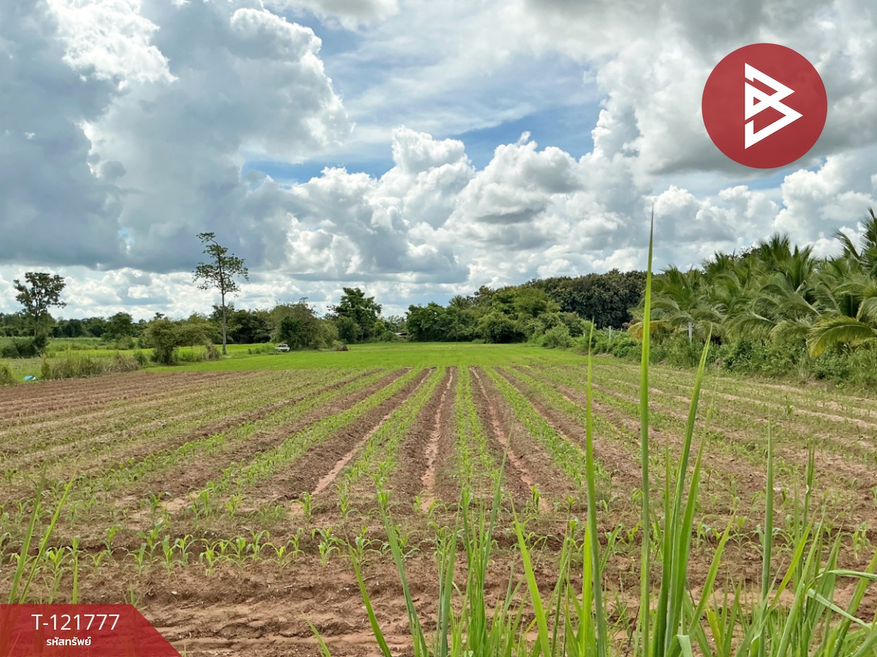 ขายที่ดินสวย เนื้อที่ 6 ไร่ 40 ตารางวา หนองไฮ อุดรธานี ทำเลทอง 1