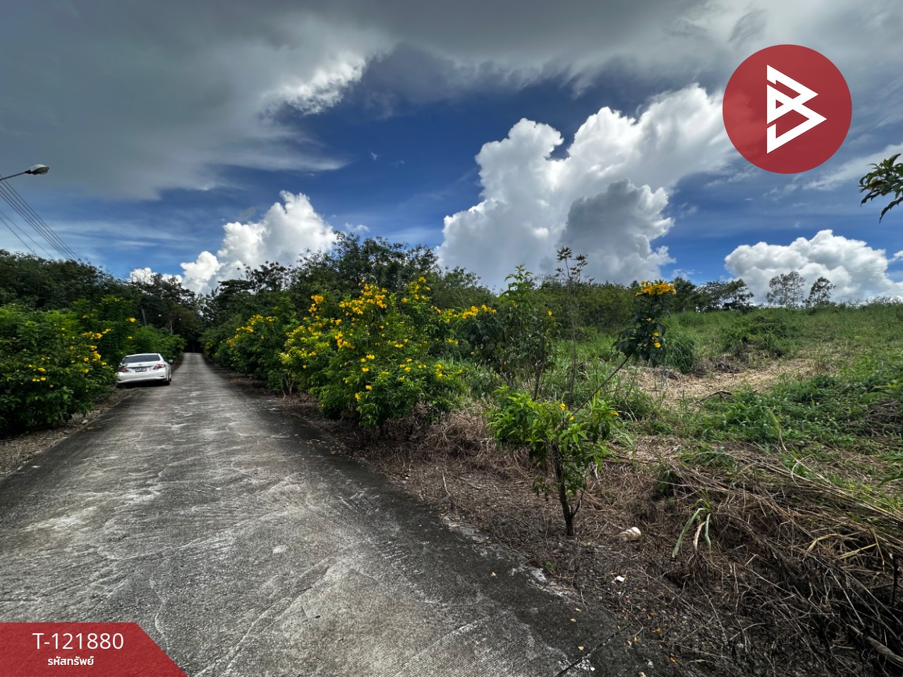 ขายที่ดิน เนื้อที่ 384 ตารางวา สอยดาว จันทบุรี อยู่ใกล้แหล่งชุมชน 4