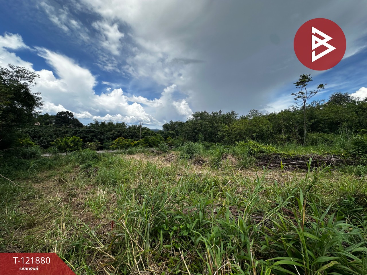 ขายที่ดิน เนื้อที่ 384 ตารางวา สอยดาว จันทบุรี อยู่ใกล้แหล่งชุมชน 3