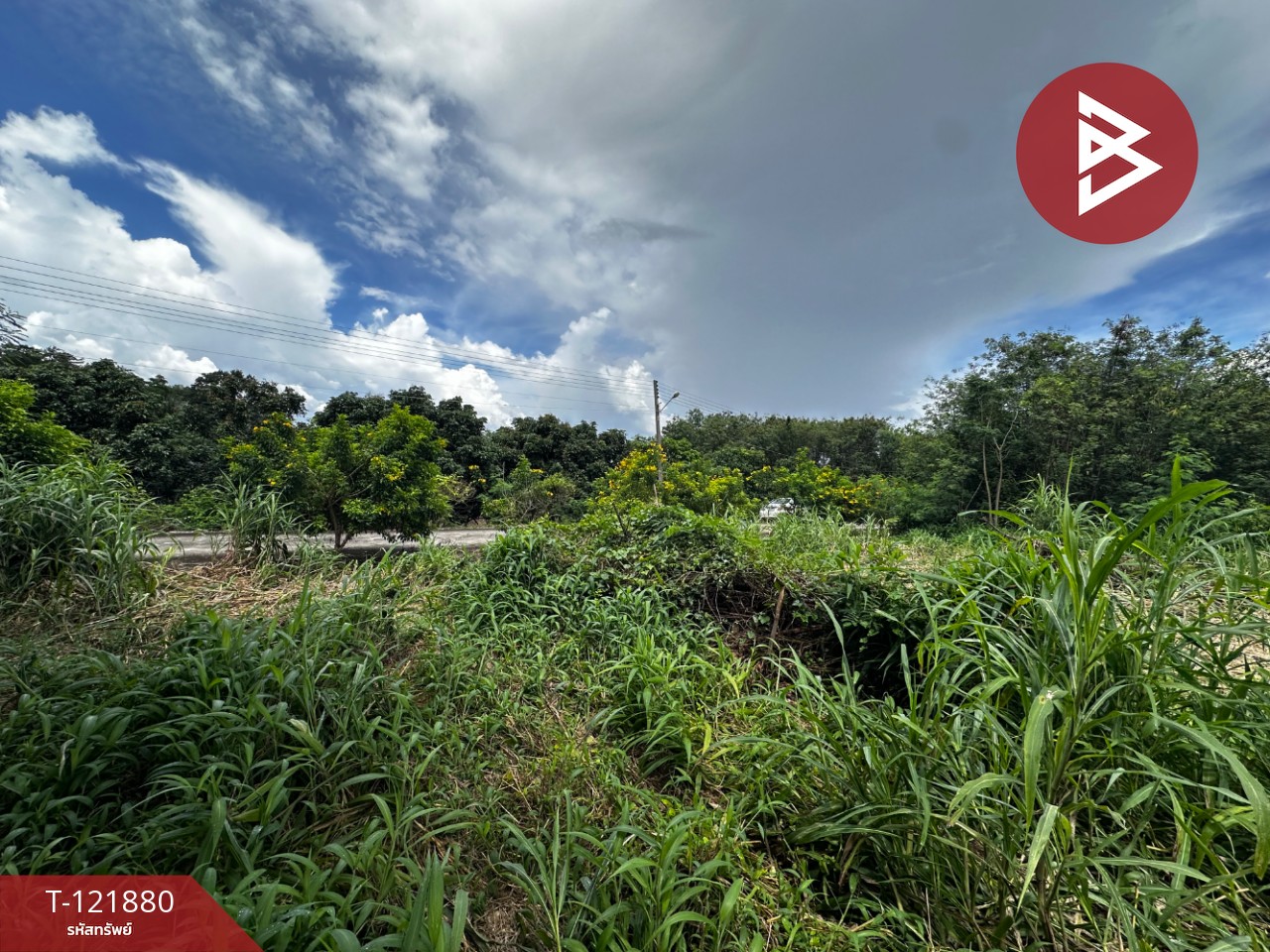 ขายที่ดิน เนื้อที่ 384 ตารางวา สอยดาว จันทบุรี อยู่ใกล้แหล่งชุมชน 1