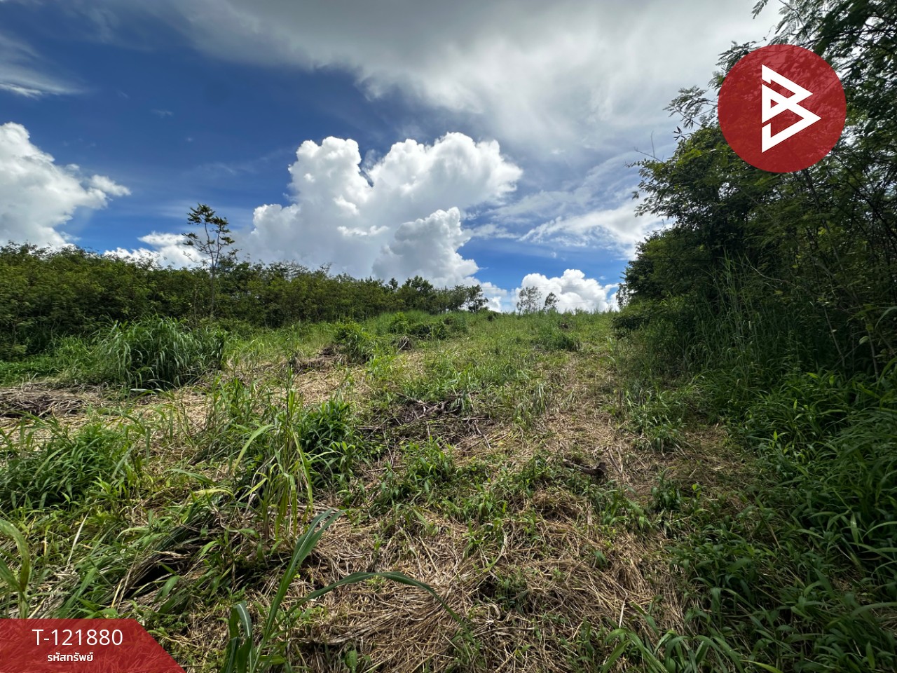 ขายที่ดิน เนื้อที่ 384 ตารางวา สอยดาว จันทบุรี อยู่ใกล้แหล่งชุมชน 9