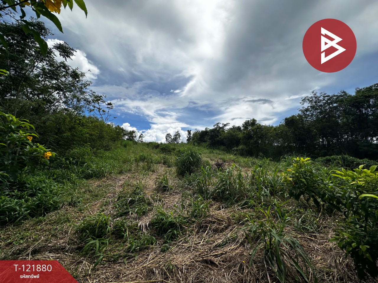 ขายที่ดิน เนื้อที่ 384 ตารางวา สอยดาว จันทบุรี อยู่ใกล้แหล่งชุมชน 5