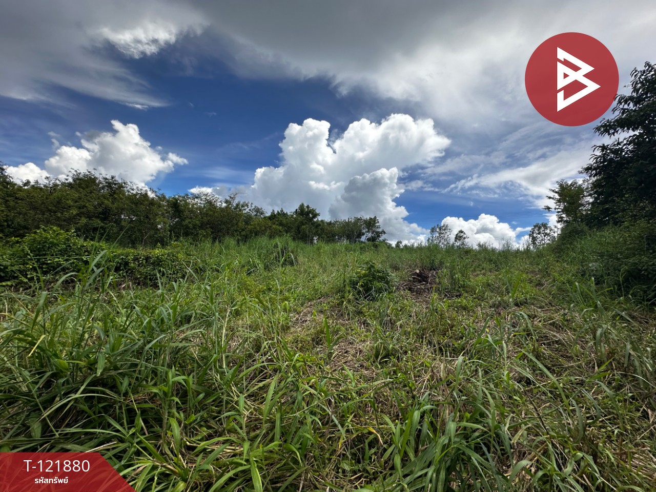 ขายที่ดิน เนื้อที่ 384 ตารางวา สอยดาว จันทบุรี อยู่ใกล้แหล่งชุมชน 2