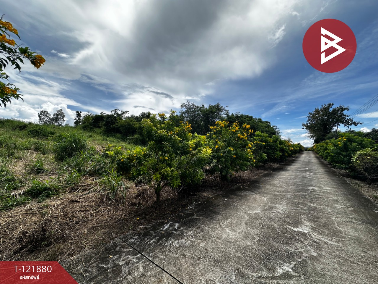 ขายที่ดิน เนื้อที่ 384 ตารางวา สอยดาว จันทบุรี อยู่ใกล้แหล่งชุมชน 6