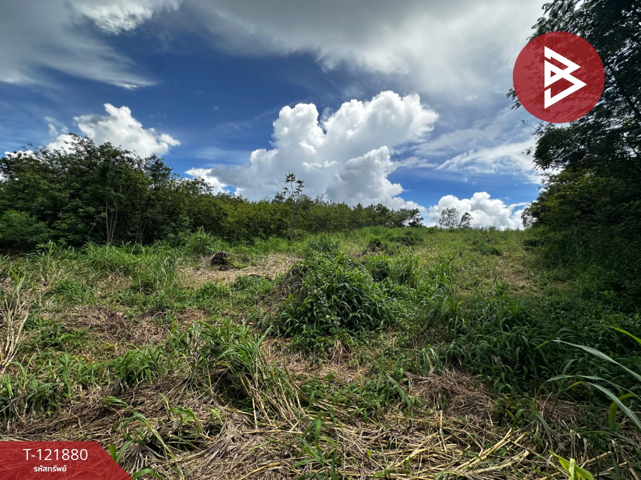 ขายที่ดิน เนื้อที่ 384 ตารางวา สอยดาว จันทบุรี อยู่ใกล้แหล่งชุมชน 8