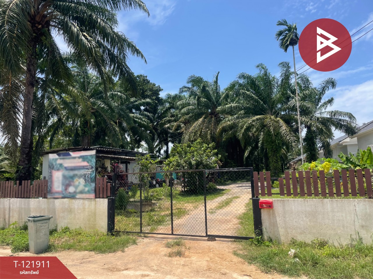 ขายที่ดิน เนื้อที่ 2 ไร่ 5.9 ตารางวา ท่าแซะ ชุมพร 5