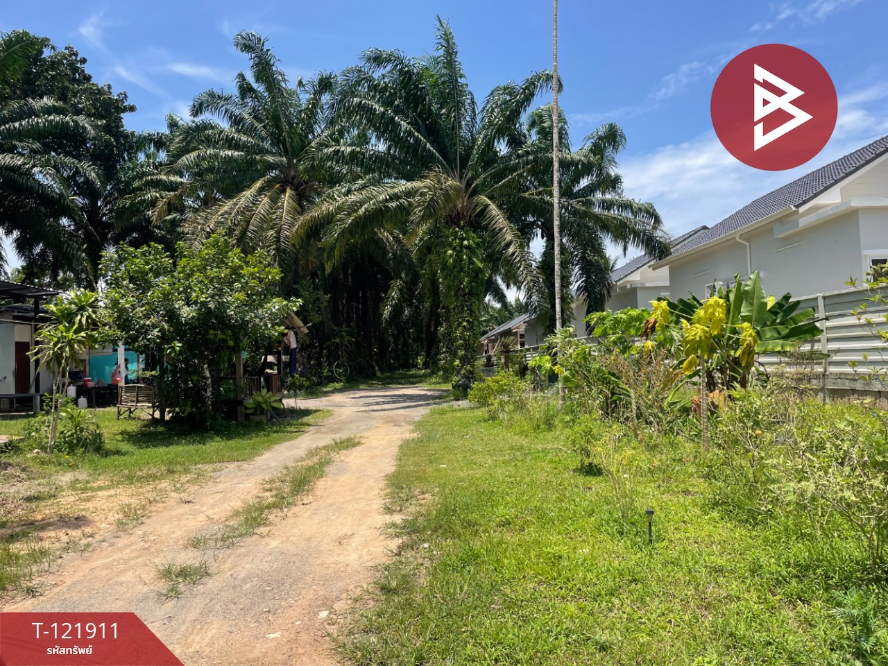 ขายที่ดิน เนื้อที่ 2 ไร่ 5.9 ตารางวา ท่าแซะ ชุมพร 7