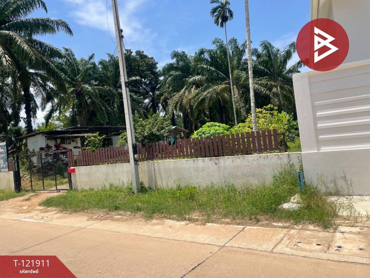 ขายที่ดิน เนื้อที่ 2 ไร่ 5.9 ตารางวา ท่าแซะ ชุมพร 9