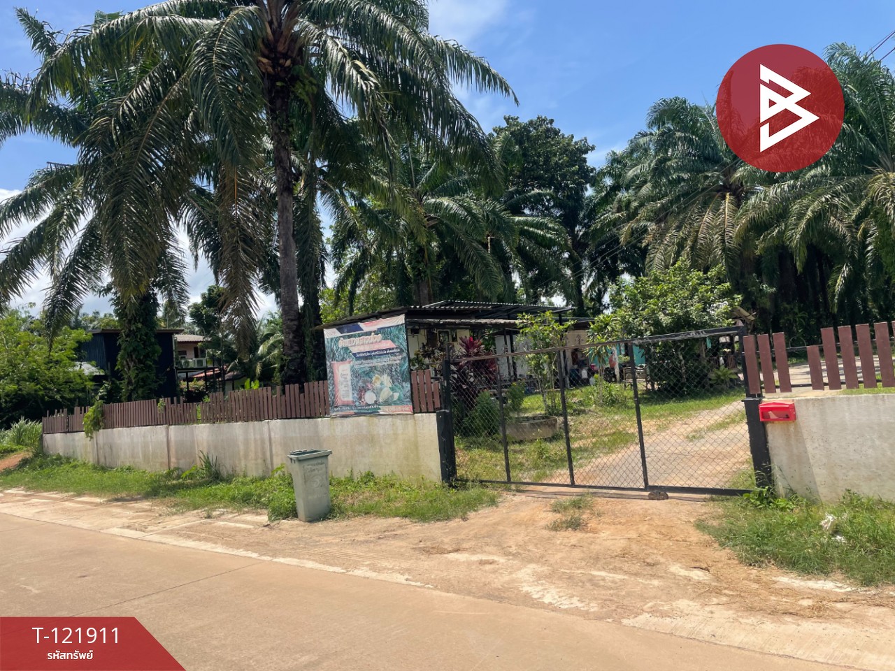 ขายที่ดิน เนื้อที่ 2 ไร่ 5.9 ตารางวา ท่าแซะ ชุมพร 6