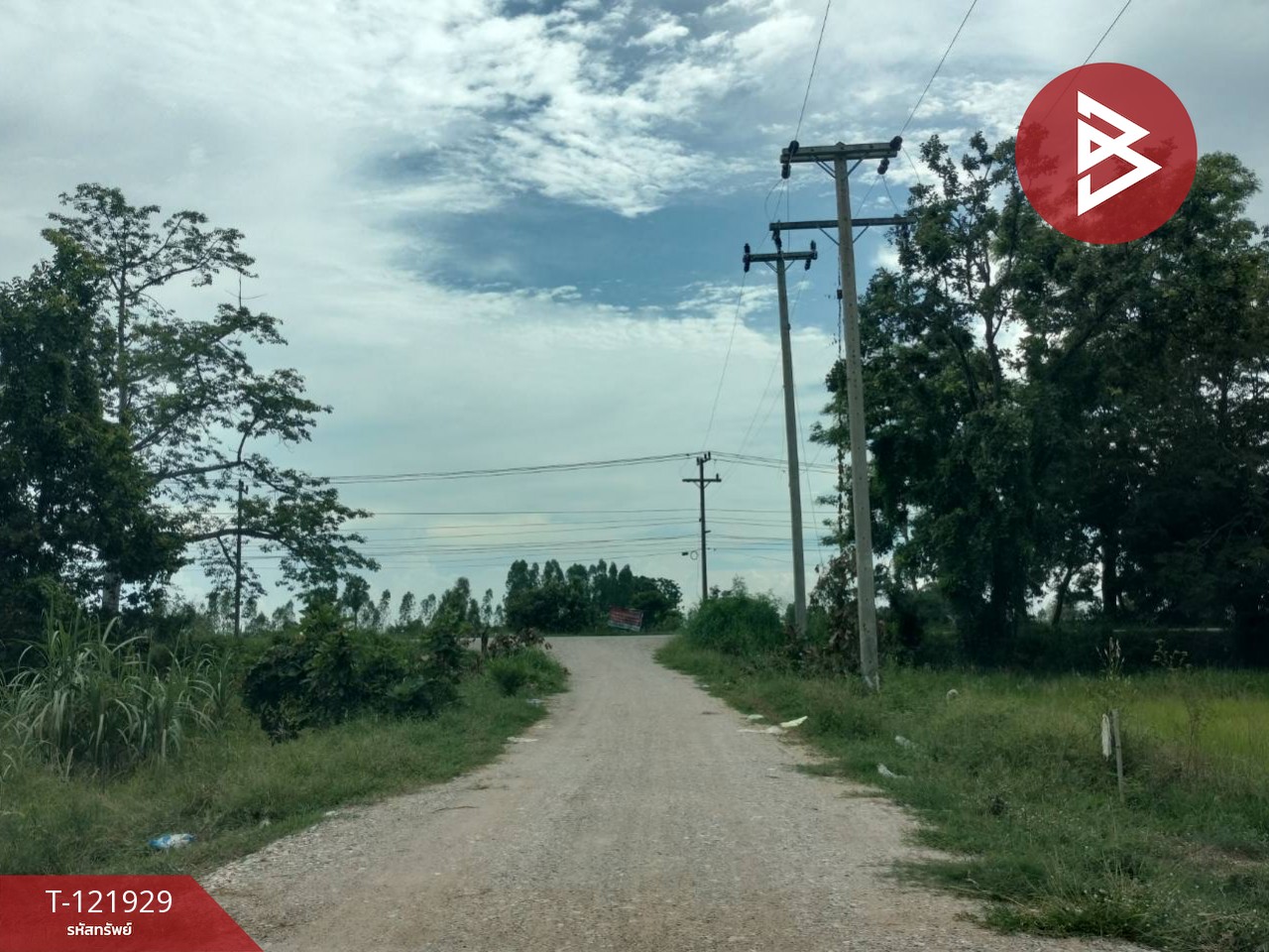 ขายบ้านเดี่ยว และโรงเพาะเลี้ยงปลา พร้อมสวนผลไม้ เนื้อที่ 28 ไร่ 3 งาน 40.1 ตารางวา บางกระทุ่ม พิษณุโลก 15