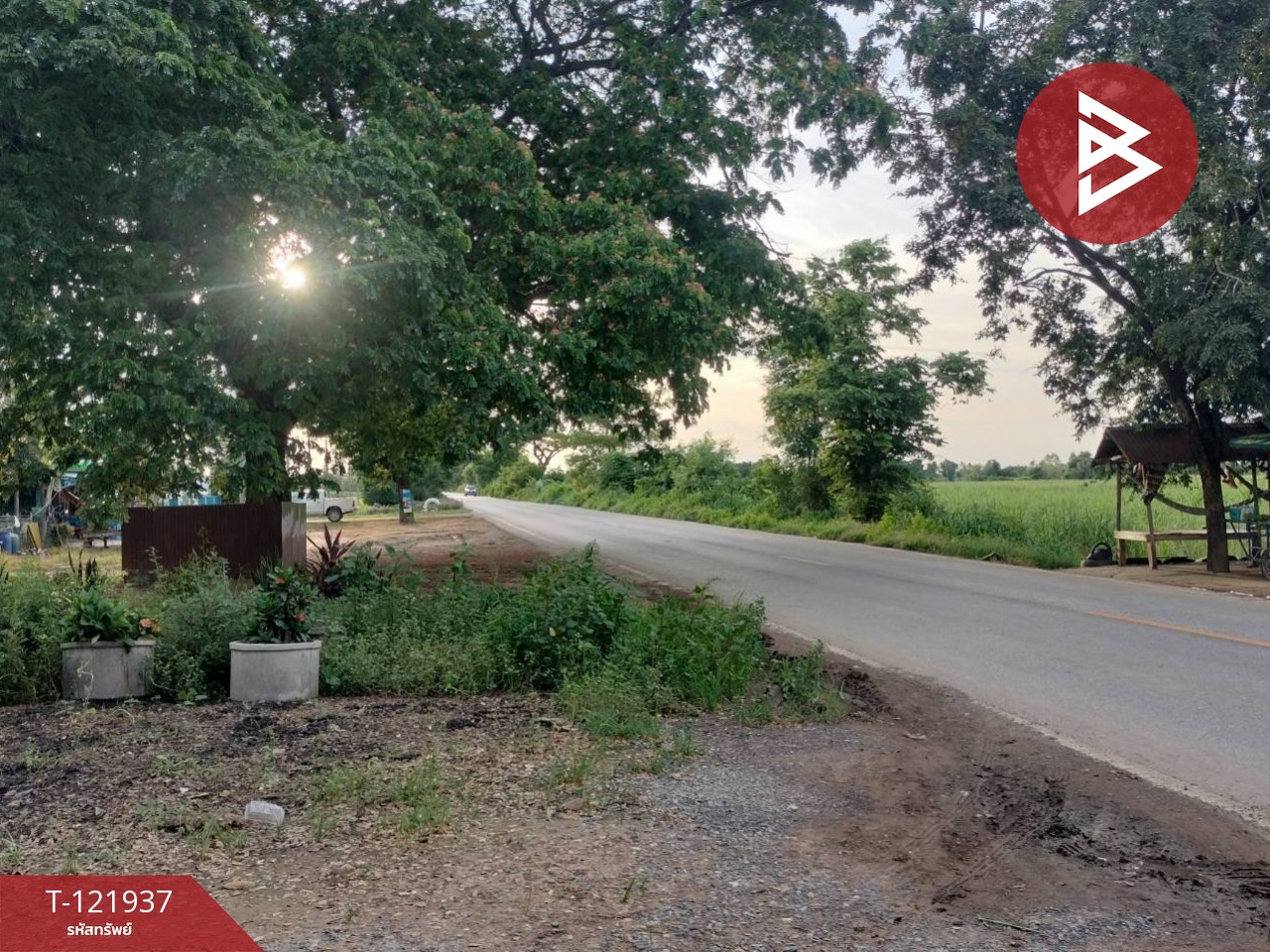 ขายบ้านเดี่ยวบริเวณกว้าง 111 ตารางวา ติดถนนเส้น สันติบันเทิง-บางกระทุ่ม พิษณุโลก 10