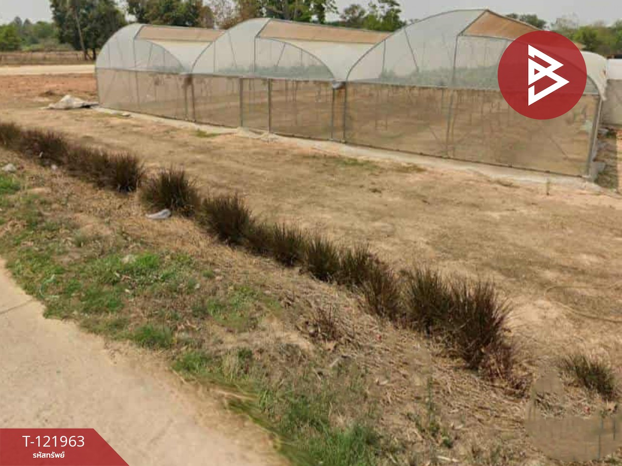 ขายที่ดิน เนื้อที่ 2 ไร่ 1 งาน 91 ตร.วา มุกดาหาร 7