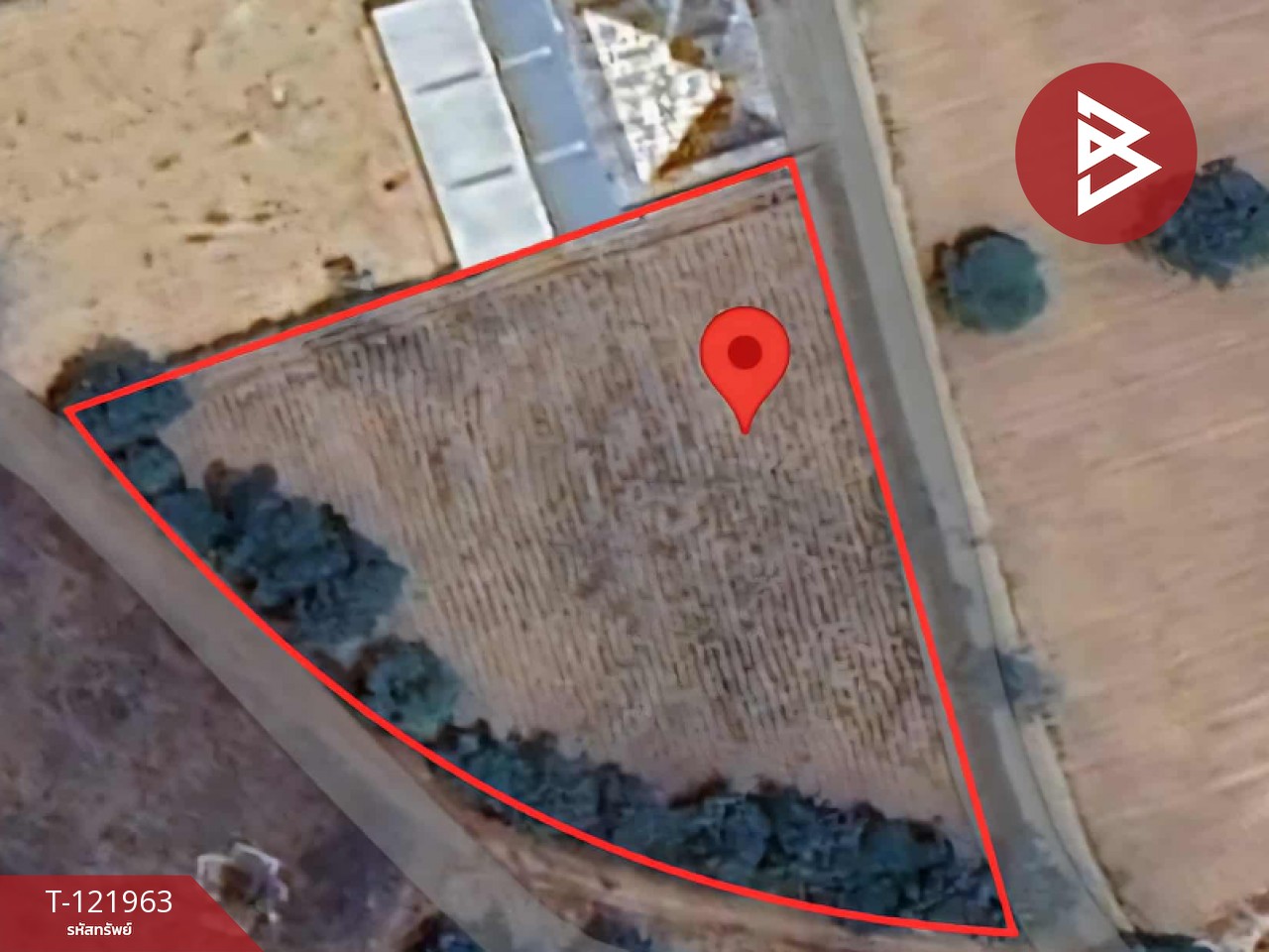 ขายที่ดิน เนื้อที่ 2 ไร่ 1 งาน 91 ตร.วา มุกดาหาร 4