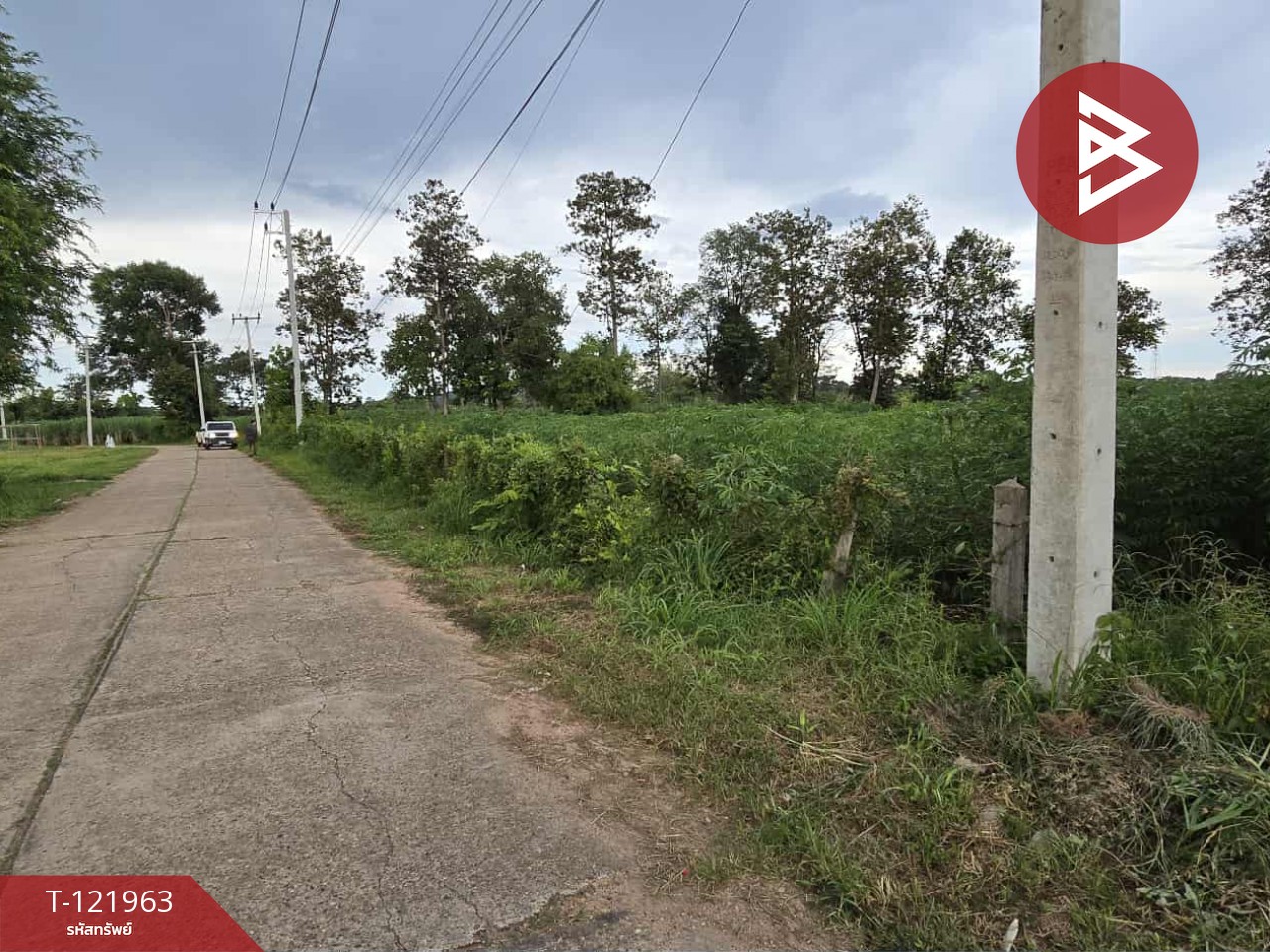 ขายที่ดิน เนื้อที่ 2 ไร่ 1 งาน 91 ตร.วา มุกดาหาร 12