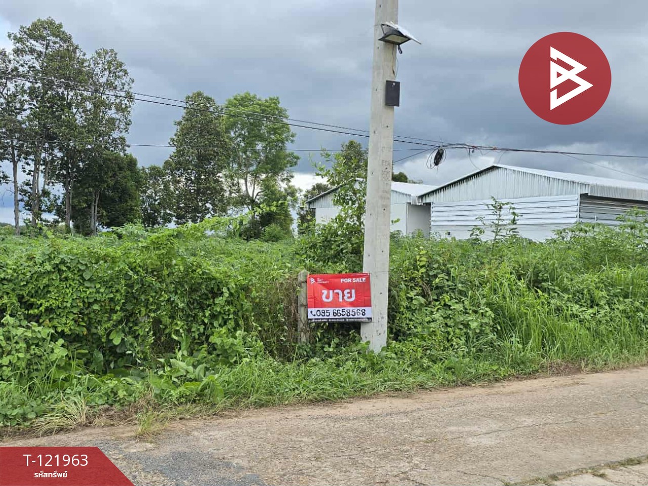 ขายที่ดิน เนื้อที่ 2 ไร่ 1 งาน 91 ตร.วา มุกดาหาร 1