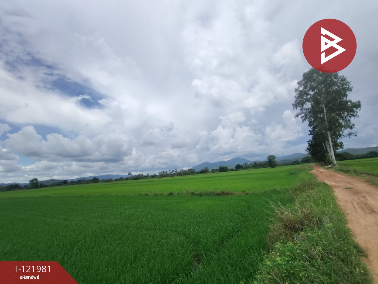 ขายที่ดิน เนื้อที่ 1 ไร่ 3 งาน 94.5 ตร.วา ทองแสนขัน อุตรดิตถ์ 9