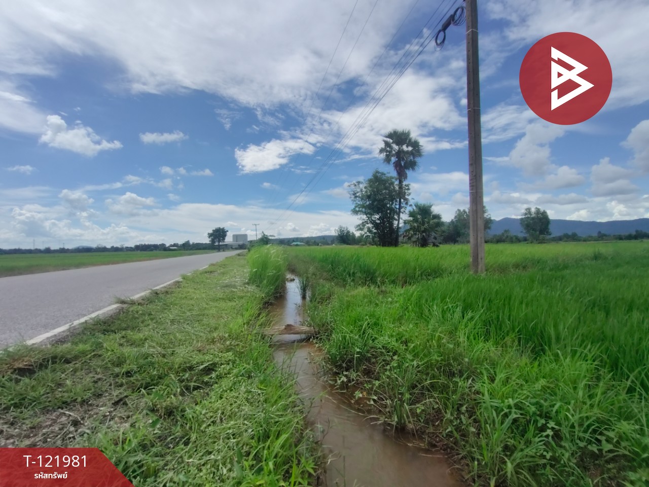 ขายที่ดิน เนื้อที่ 1 ไร่ 3 งาน 94.5 ตร.วา ทองแสนขัน อุตรดิตถ์ 8