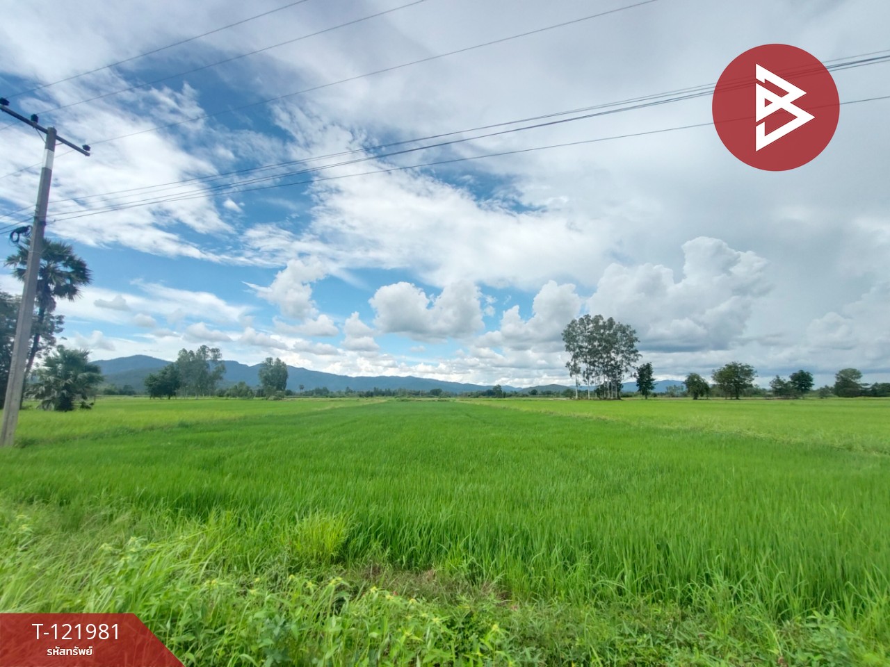 ขายที่ดิน เนื้อที่ 1 ไร่ 3 งาน 94.5 ตร.วา ทองแสนขัน อุตรดิตถ์ 10