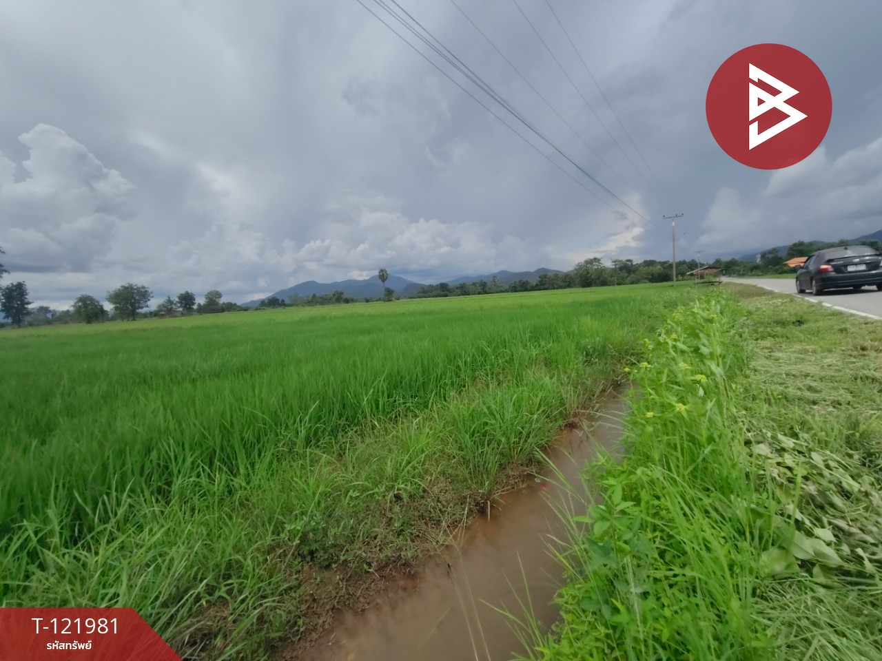 ขายที่ดิน เนื้อที่ 1 ไร่ 3 งาน 94.5 ตร.วา ทองแสนขัน อุตรดิตถ์ 6