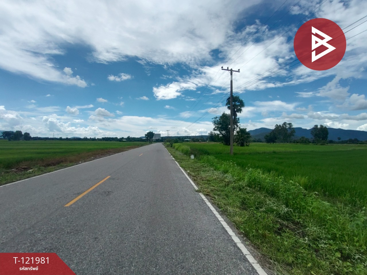 ขายที่ดิน เนื้อที่ 1 ไร่ 3 งาน 94.5 ตร.วา ทองแสนขัน อุตรดิตถ์ 11