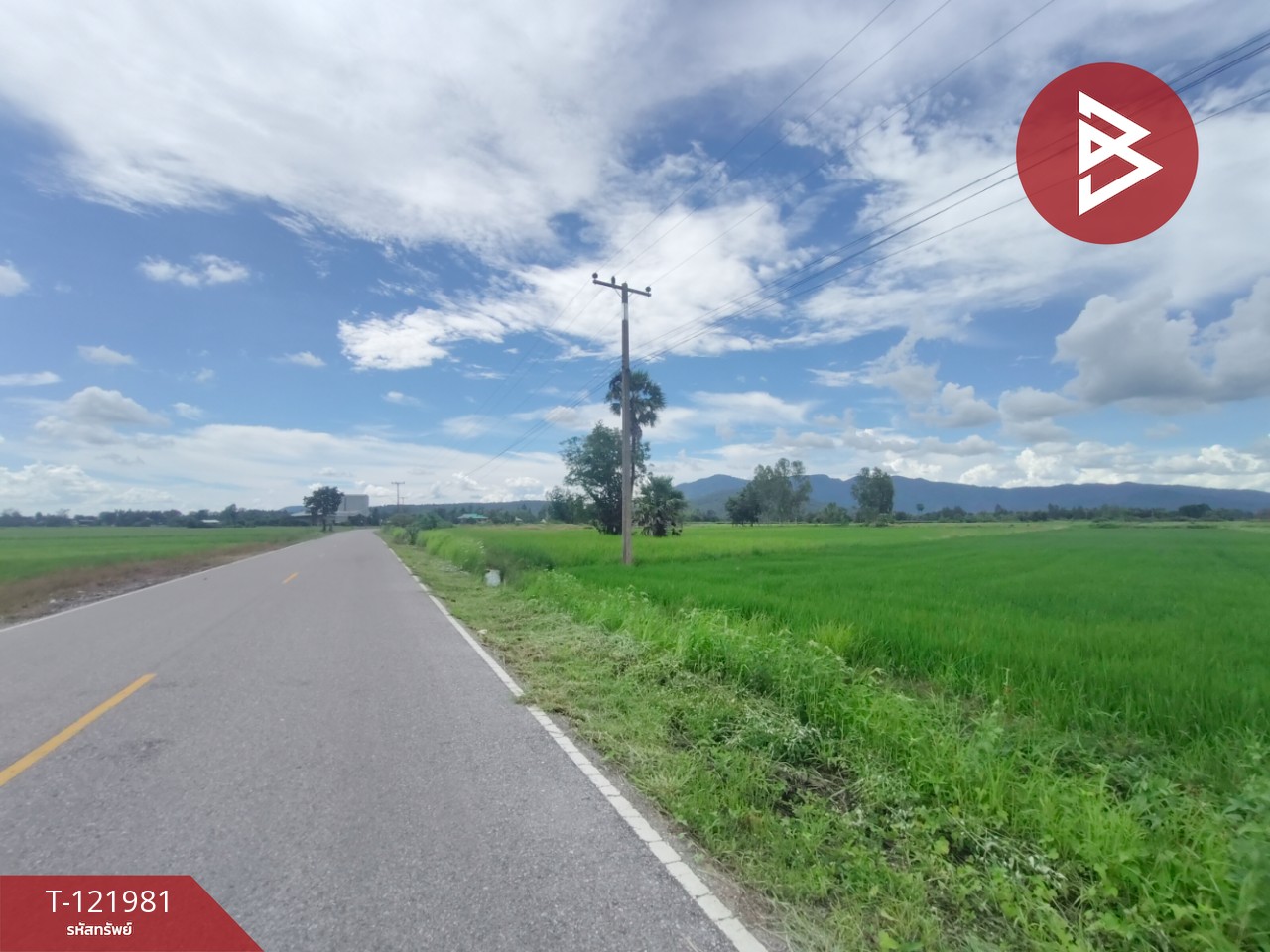 ขายที่ดิน เนื้อที่ 1 ไร่ 3 งาน 94.5 ตร.วา ทองแสนขัน อุตรดิตถ์ 7