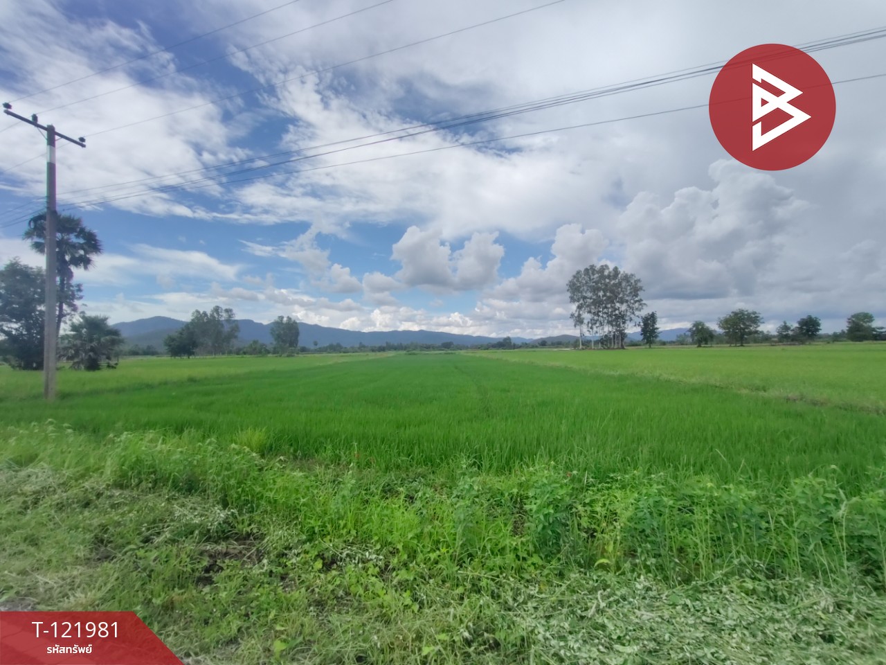 ขายที่ดิน เนื้อที่ 1 ไร่ 3 งาน 94.5 ตร.วา ทองแสนขัน อุตรดิตถ์ 5